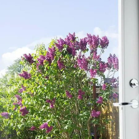 Apartment Walge Haapsalu